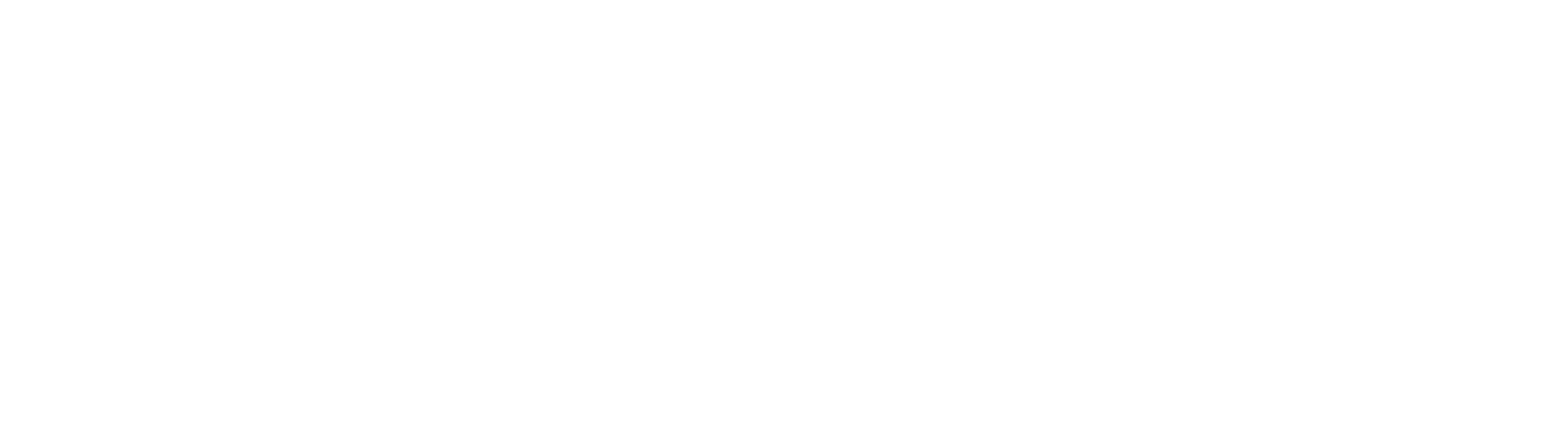 BRSIMO Logo